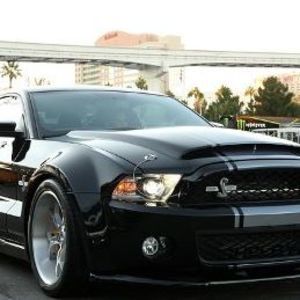 Meet your Posher, Majed